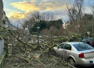 Sturmböen in Düsseldorf: Wetter-Warnung für Feuerwehr-Einsätze sturmben-in-dsseldorf-wetter-warnung-fr-feuerwehr-einstze