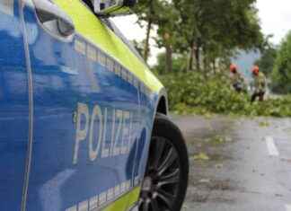 Sturmtief Bernd: Düsseldorf wird kräftig durchgepustet – Ddorf-Aktuell sturmtief-bernd-dsseldorf-wird-krftig-durchgepustet-ddorf-aktuell