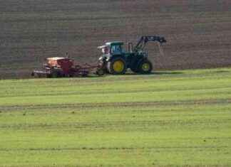 Tipps zur Bewältigung von Krisen auf dem Bauernhof tipps-zur-bewltigung-von-krisen-auf-dem-bauernhof