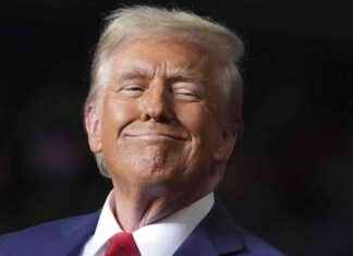 Trump als Friedensvermittler in Gaza: Waffenruhe in Sichtweite trump-als-friedensvermittler-in-gaza-waffenruhe-in-sichtweite