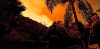 trump-forderungen-nach-manahmen-gegen-brnde-in-los-angeles