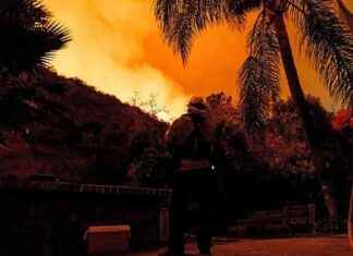 Trump: Forderungen nach Maßnahmen gegen Brände in Los Angeles trump-forderungen-nach-manahmen-gegen-brnde-in-los-angeles