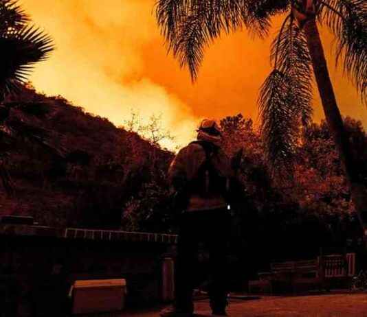 Trump: Forderungen nach Maßnahmen gegen Brände in Los Angeles trump-forderungen-nach-manahmen-gegen-brnde-in-los-angeles