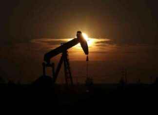 Trump kündigt neues Öl-Zeitalter an: Bohren, Baby, Bohren! – Export in die Welt – WELT trump-kndigt-neues-l-zeitalter-an-bohren-baby-bohren-export-in-die-welt-welt