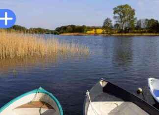 Umweltauswirkungen des Schlammes im Nehmser See umweltauswirkungen-des-schlammes-im-nehmser-see