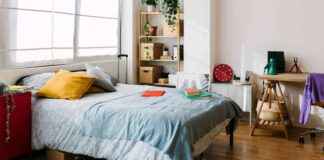 unerwarteter-besucher-im-bett-eine-kuriose-geschichte