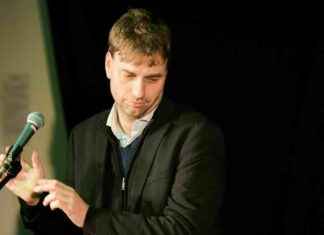 Untersuchung der Belästigungsvorwürfe und falschen Angaben: Grüne setzen Gelbhaar-Kommission ein untersuchung-der-belstigungsvorwrfe-und-falschen-angaben-grne-setzen-gelbhaar-kommission-ein