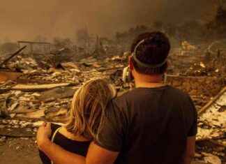 Verheerende Feuer in Kalifornien: Zerstörung unserer Träume verheerende-feuer-in-kalifornien-zerstrung-unserer-trume