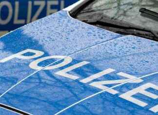 Verkehrsunfall: Pferd getötet, Fahrer schwer verletzt verkehrsunfall-pferd-gettet-fahrer-schwer-verletzt