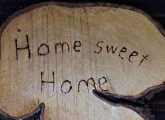 Vom Traum zur Katastrophe: Das Scheitern beim Auswandern vom-traum-zur-katastrophe-das-scheitern-beim-auswandern