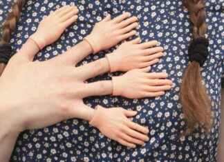 Vorwürfe gegen Stefan Gelbhaar: Auswirkungen auf MeToo-Berichterstattung vorwrfe-gegen-stefan-gelbhaar-auswirkungen-auf-metoo-berichterstattung