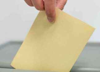 Wahlen, Solarenergie und Künstliche Intelligenz – Neue Entwicklungen im Februar wahlen-solarenergie-und-knstliche-ntelligenz-neue-entwicklungen-im-februar