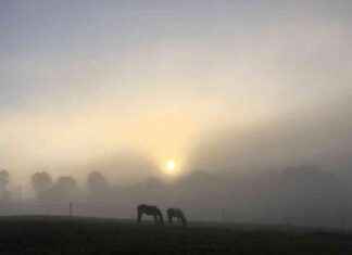 Wettervorhersage NRW: Sonniges Wochenende erwartet wettervorhersage-nrw-sonniges-wochenende-erwartet