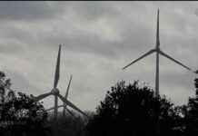 Windkraftausbau in NRW: Führend bei erneuerbaren Energien | SAT.1 NRW windkraftausbau-in-nrw-fhrend-bei-erneuerbaren-energien-sat1-nrw