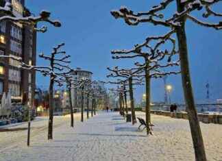 Winterdienst in Düsseldorf: Awista übernimmt Straßen und Radwege, Anwohnende für Bürgersteige verantwortlich winterdienst-in-dsseldorf-awista-bernimmt-straen-und-radwege-anwohnende-fr-brgersteige-verantwortlich