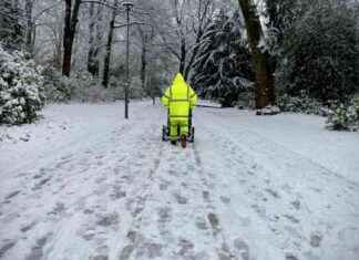 Wintereinbruch in NRW: Aktuelle Wetteraussichten und Schneefall-Prognose wintereinbruch-in-nrw-aktuelle-wetteraussichten-und-schneefall-prognose
