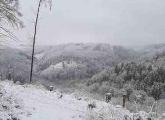 Wintereinbruch in NRW: Schneefälle sorgen für Ausfälle bei Rheinbahn im Kreis Mettmann wintereinbruch-in-nrw-schneeflle-sorgen-fr-ausflle-bei-rheinbahn-im-kreis-mettmann
