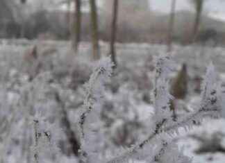 Winterwetter in NRW: Alles zur Sendung SAT.1 NRW winterwetter-in-nrw-alles-zur-sendung-sat1-nrw