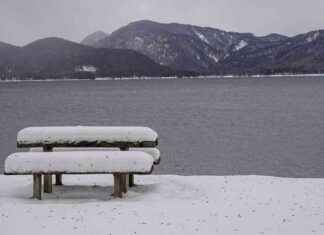 30-jähriger Münchner tot am Walchensee gefunden: Aktuelle Entwicklung und Hintergründe 30-jhriger-mnchner-tot-am-walchensee-gefunden-aktuelle-entwicklung-und-hintergrnde