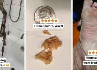 34 Produkte mit beeindruckenden Ergebnisbildern – Holen Sie sich eine Papiertüte! 34-produkte-mit-beeindruckenden-ergebnisbildern-holen-sie-sich-eine-papiertte