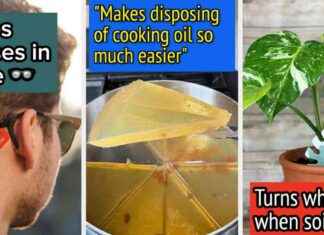 35 Dinge, die dich stolz machen, dass du sie gekauft hast 35-dinge-die-dich-stolz-machen-dass-du-sie-gekauft-hast