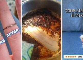 37 Effektive Produkte, für die Sie wahrscheinlich mehr bezahlen würden (aber zum Glück nicht müssen) 37-effektive-produkte-fr-die-sie-wahrscheinlich-mehr-bezahlen-wrden-aber-zum-glck-nicht-mssen