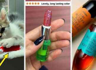 37 hoch bewertete Produkte, die klare Gewinner sind. 37-hoch-bewertete-produkte-die-klare-gewinner-sind