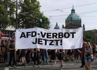AfD-Verbotsantrag: Wert des Verfahrens und mögliche Konsequenzen afd-verbotsantrag-wert-des-verfahrens-und-mgliche-konsequenzen