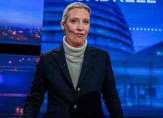 Alice Weidel: Lügen zur Energiewende – Eine Analyse alice-weidel-lgen-zur-energiewende-eine-analyse