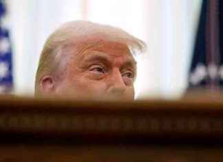 Analyse: Auswirkungen von Trumps Zollpolitik auf EU-Unternehmen analyse-auswirkungen-von-trumps-zollpolitik-auf-eu-unternehmen