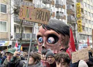 Anti-AfD-Demo in Düsseldorf: 15.000 Teilnehmer – Polizei präsent anti-afd-demo-in-dsseldorf-15000-teilnehmer-polizei-prsent