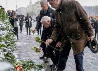 Autofahrer nach Anschlag in München: Über 30 Verletzte – Untersuchungshaft autofahrer-nach-anschlag-in-mnchen-ber-30-verletzte-untersuchungshaft