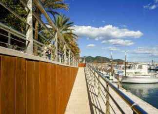 Bootunfall auf Mallorca: Gericht entzieht Reisepass von Millionärssohn bootunfall-auf-mallorca-gericht-entzieht-reisepass-von-millionrssohn