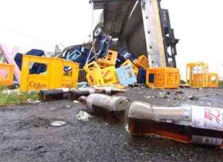 Brandbekämpfer lernen Pferdesprache | SAT.1 NRW – Sendungsinformationen brandbekmpfer-lernen-pferdesprache-sat1-nrw-sendungsinformationen