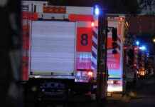 Brandstiftung in Düsseldorf Lierenfeld und Eller: Polizei bittet um Zeugenaussagen brandstiftung-in-dsseldorf-lierenfeld-und-eller-polizei-bittet-um-zeugenaussagen