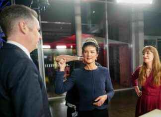 BSW-Generalsekretär spricht über Umfragetief: Kein Welpenschutz vorhanden bsw-generalsekretr-spricht-ber-umfragetief-kein-welpenschutz-vorhanden