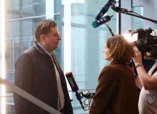 Die AfD und ihre umstrittenen Mitglieder: Helferich und Krah im Fokus die-afd-und-ihre-umstrittenen-mitglieder-helferich-und-krah-im-fokus