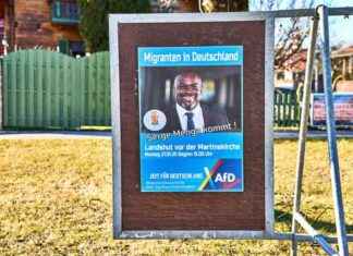 Die Auswirkungen von Migrant:innen auf die Bundestagswahl: Der Trump-Effekt die-auswirkungen-von-migrantinnen-auf-die-bundestagswahl-der-trump-effekt