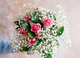 Die besten Blumen für den Valentinstag: Bedeutung und Symbolik die-besten-blumen-fr-den-valentinstag-bedeutung-und-symbolik