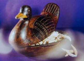 Die verrücktesten Verstecke von Schmugglern: Vom Zoll entdeckt die-verrcktesten-verstecke-von-schmugglern-vom-zoll-entdeckt