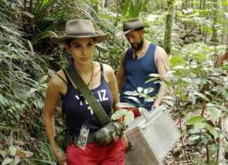 Dschungelcamp: Nächster Star fliegt raus dschungelcamp-nchster-star-fliegt-raus
