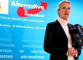 Duisburger Milliardär in mutmaßlicher AfD-Spendenaffäre: 2,35 Millionen Euro für Plakatwerbung duisburger-milliardr-in-mutmalicher-afd-spendenaffre-235-millionen-euro-fr-plakatwerbung