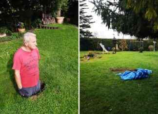 Effektive Methoden zur Biberabwehr im Garten: Tipps für Hausbesitzer effektive-methoden-zur-biberabwehr-im-garten-tipps-fr-hausbesitzer