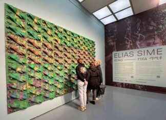 Elias Sime Ausstellung im Kunstpalast Düsseldorf – Ddorf-Aktuell – Internetzeitung – 80-100 characters elias-sime-ausstellung-im-kunstpalast-dsseldorf-ddorf-aktuell-nternetzeitung-80-100-characters