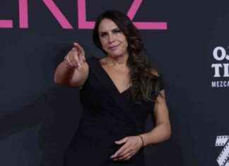 Emilia Pérez: Teilnahme an den Oscars als aufstrebender Star emilia-prez-teilnahme-an-den-oscars-als-aufstrebender-star