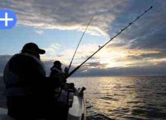 Fischermangel in Eckernförde: Dorsch und Schollenknappheit in der Ostsee fischermangel-in-eckernfrde-dorsch-und-schollenknappheit-in-der-ostsee