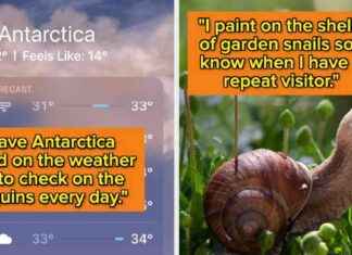 Frauen teilen die Niedlich kleinen Dinge, die sie tun, um ihr Leben märchenhafter zu gestalten frauen-teilen-die-niedlich-kleinen-dinge-die-sie-tun-um-ihr-leben-mrchenhafter-zu-gestalten