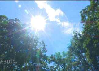 Frühlingserwachen in Nordrhein-Westfalen | SAT.1 NRW – Sendungsinformationen frhlingserwachen-in-nordrhein-westfalen-sat1-nrw-sendungsinformationen