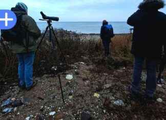 Geheimnisvolle Männer am Bülker Leuchtturm: Warum starren sie auf Stelzen? geheimnisvolle-mnner-am-blker-leuchtturm-warum-starren-sie-auf-stelzen