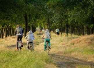 Günstige Familienurlaube mit „Familienzeit NRW“ in Düsseldorf gnstige-familienurlaube-mit-familienzeit-nrw-in-dsseldorf